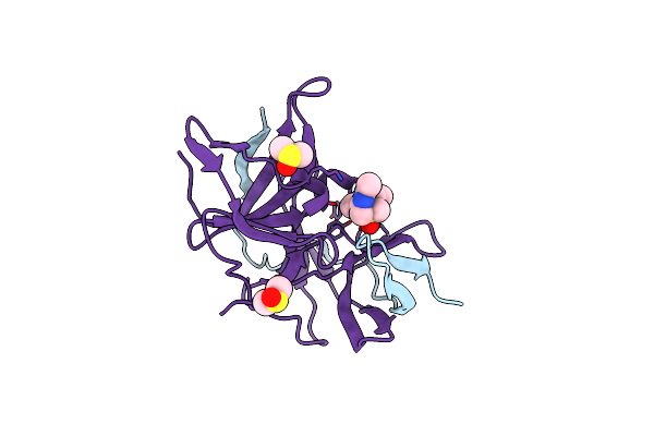 7I1N image