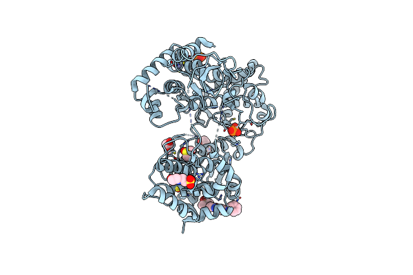 7I2B image