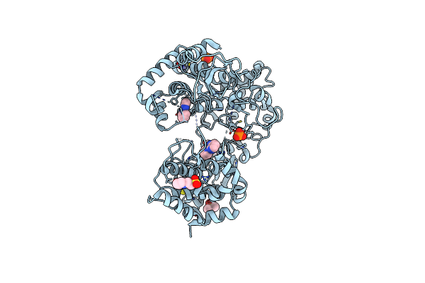 7I2I image
