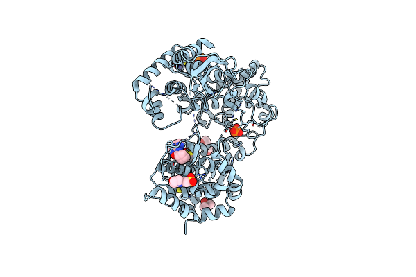 7I2N image