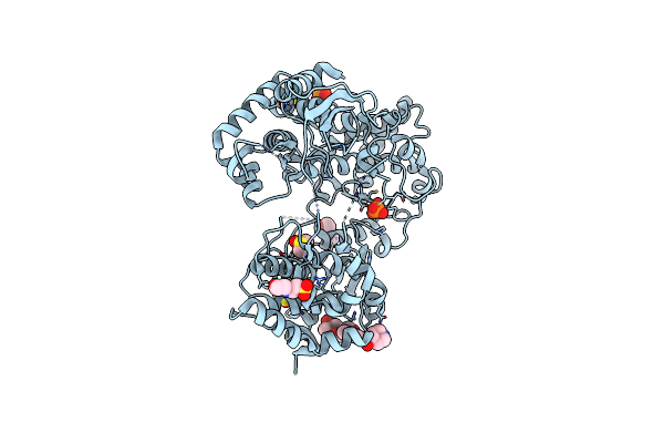 7I2P image