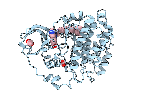 7I82 image