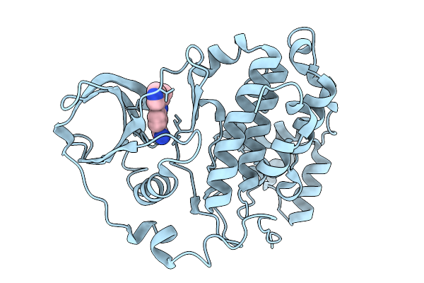 7I85 image
