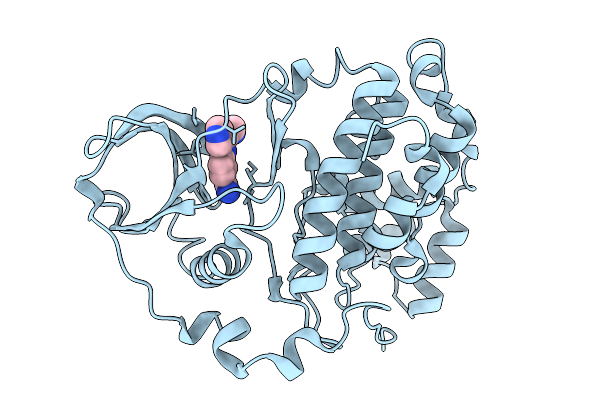 7I88 image
