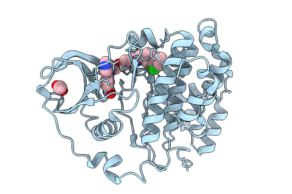 7I8B image