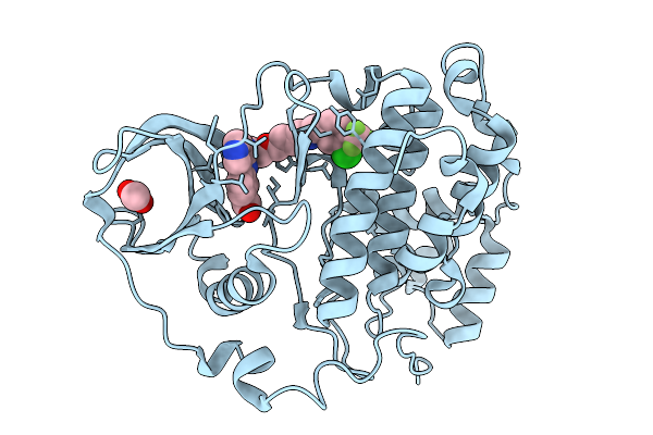 7I8C image