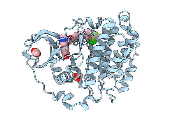 7I8D image