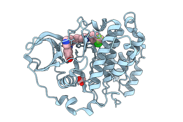 7I8E image