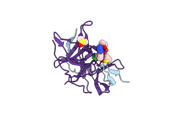 7I9P image