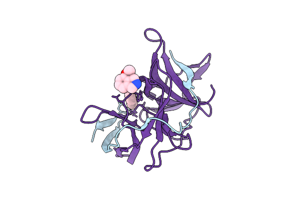 7IB7 image