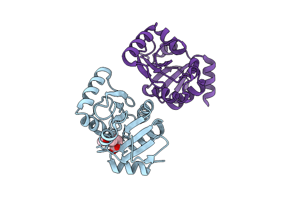 7IJQ image