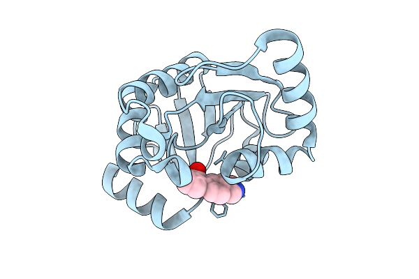 7IJU image
