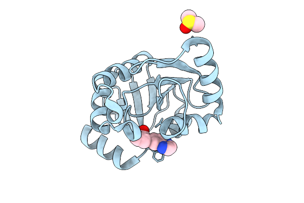 7IJV image