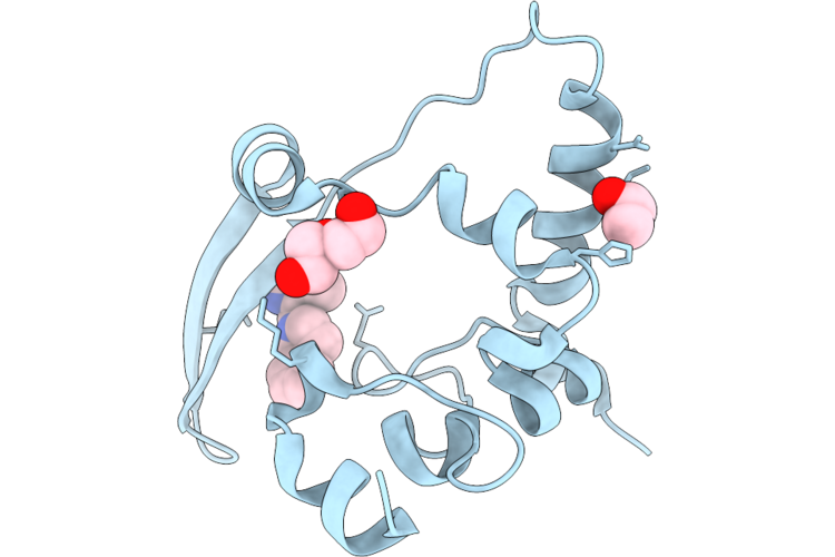 7ILN image