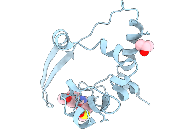 7ILR image