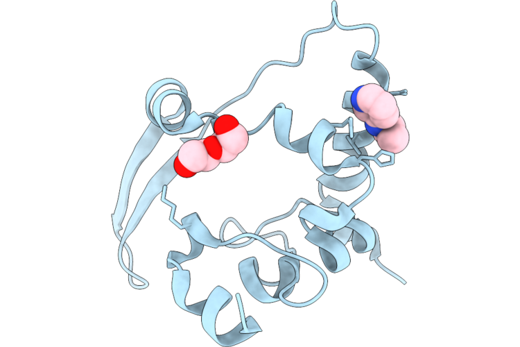 7ILX image
