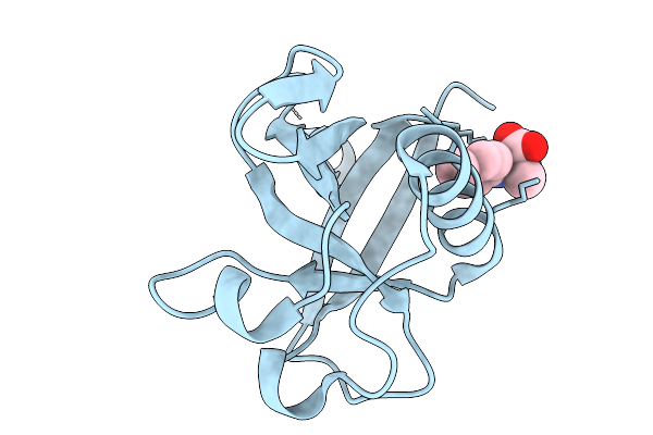 7IPP image