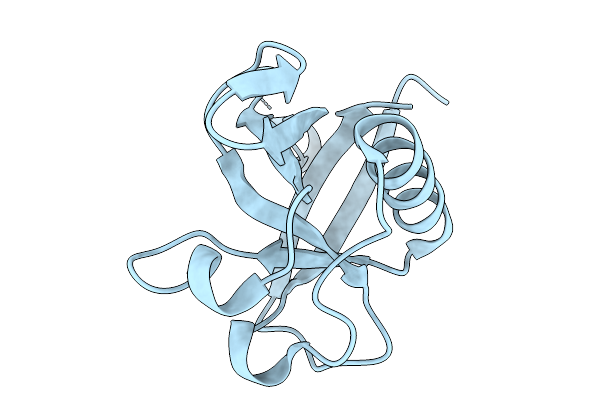 7IPV image