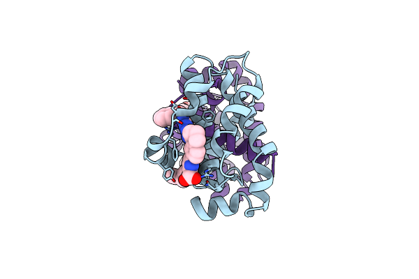 7JGV image