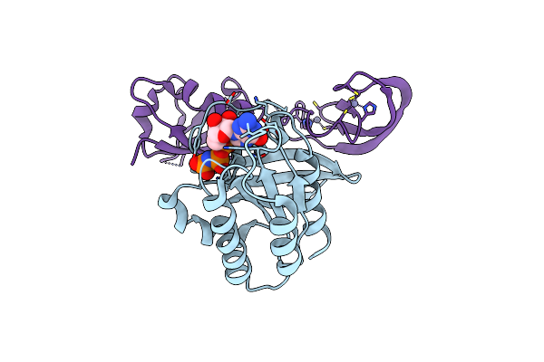 7JHP image