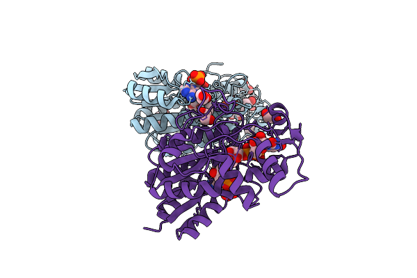 7JID image