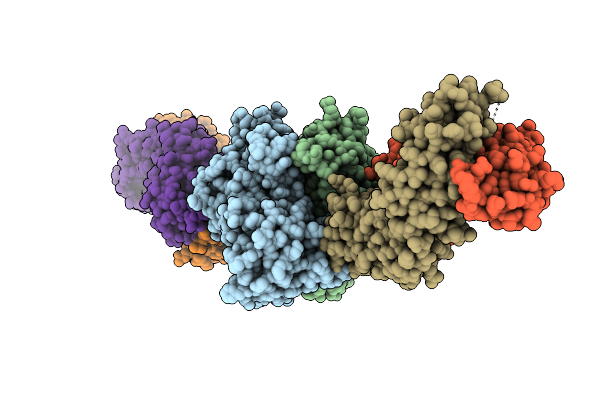 7JIE image