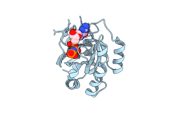 7JIG image