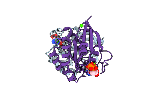 7JII image