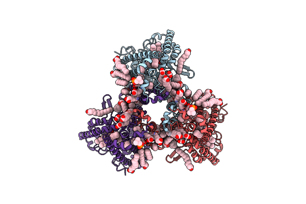7JLP image