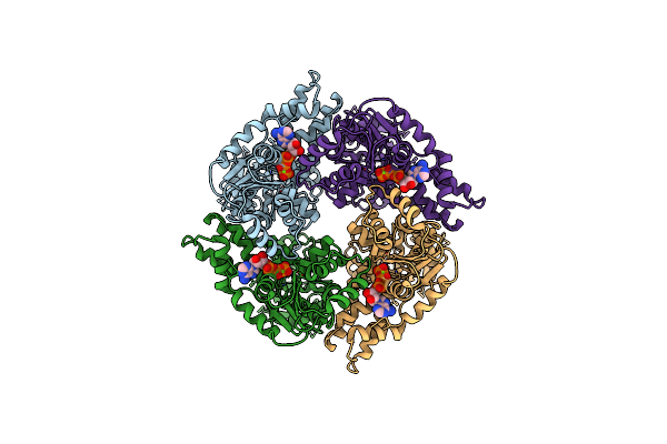 7JLV image