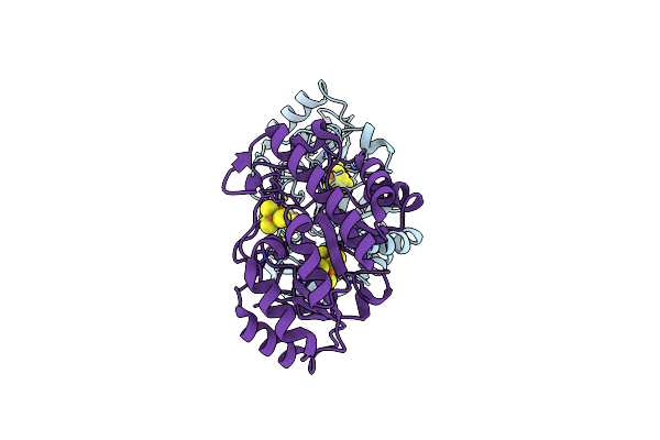 7JMB image