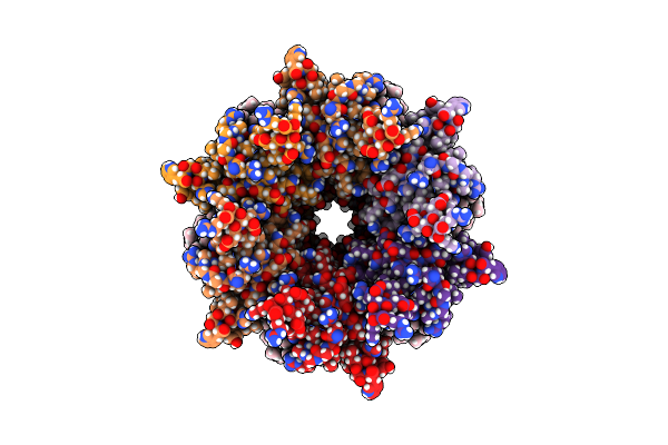 7JMD image