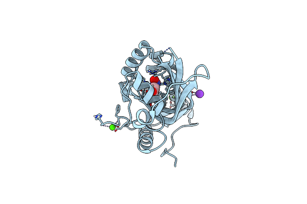 7JMV image