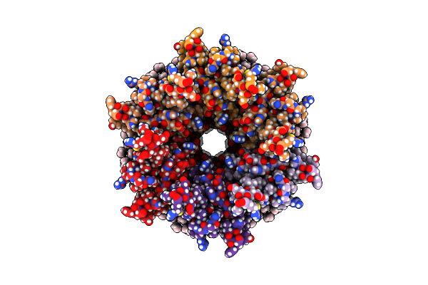 7JN1 image