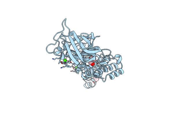 7JND image
