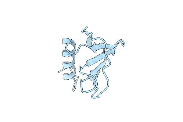 7JNY image