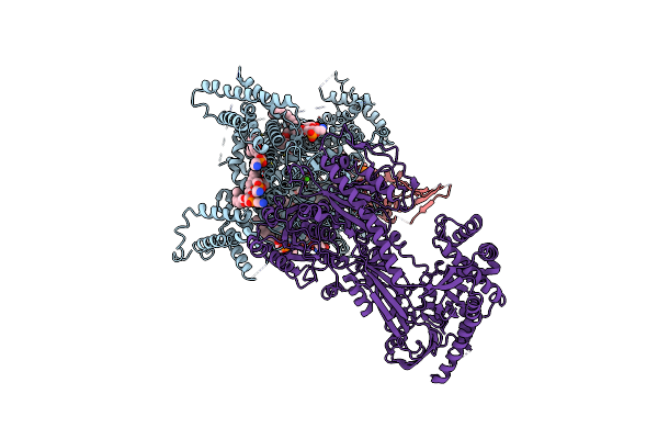 7JPK image