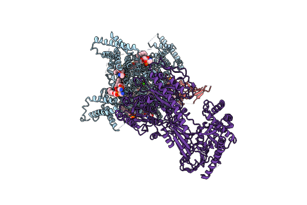 7JPL image