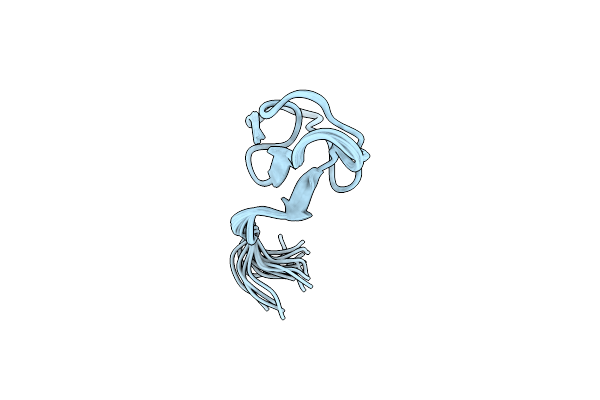 7JPM image