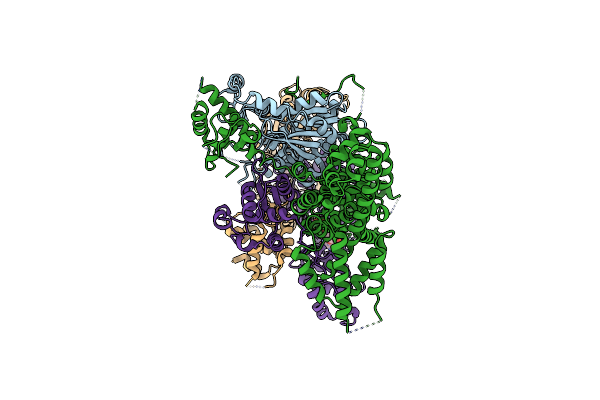 7JPQ image