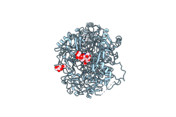 7JPT image