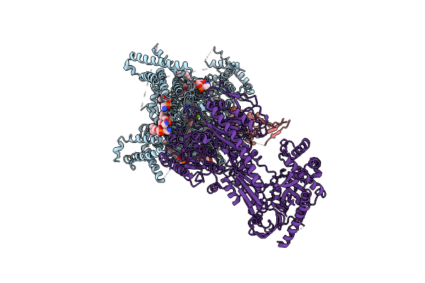 7JPX image