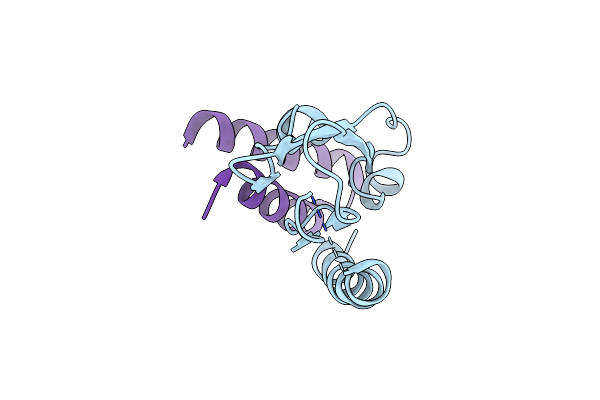 7JQD image