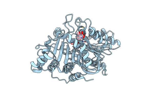 7JRB image