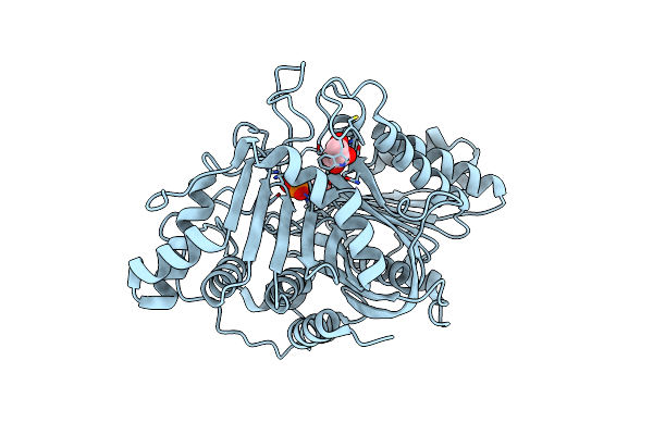 7JRC image