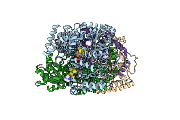 7JRF image