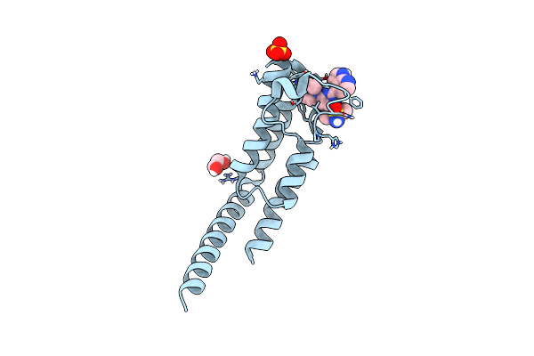 7JSP image