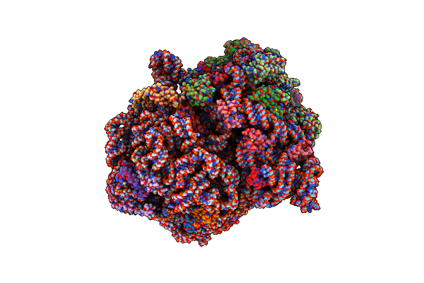 7JSS image