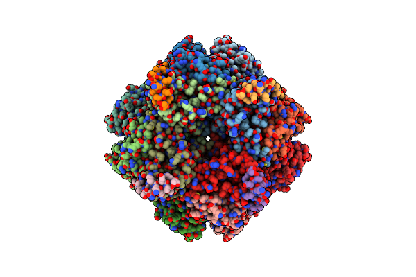 7JSX image