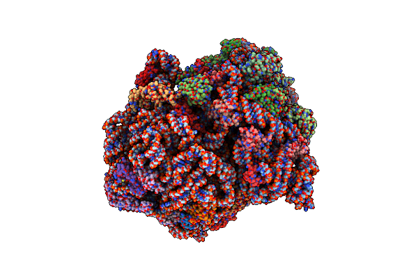 7JSZ image